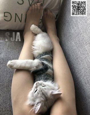 国产自产第一区c国产_BD在线视频观看